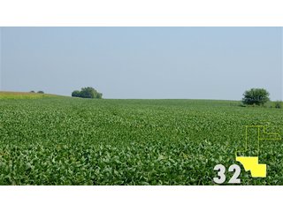 Property photo 188 - Land Auction - 3,379 Acres in 48 Tracts, 2,900 Acres Tillable, Large Contiguous Tracts - Investment Potential